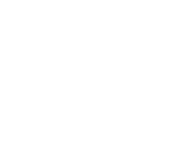 Alert